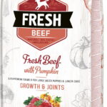 Brit Fresh Beef with Pumpkin Puppy Large 12 kg